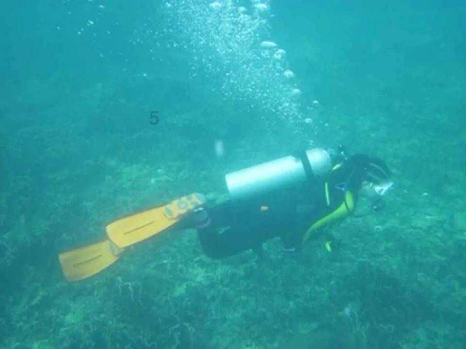 这个春节 天津始“钟”“响”你 扫码阅读手机版